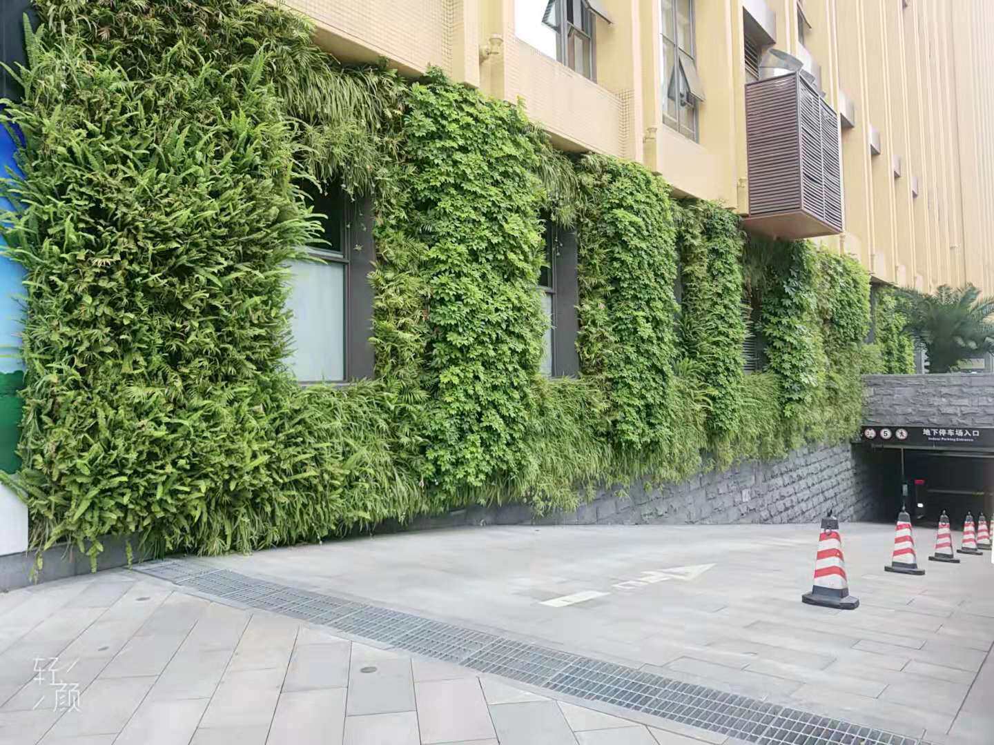 蜂巢花盆室内外净化空气垂直绿植墙阳台庭院容器立体绿化种植盒