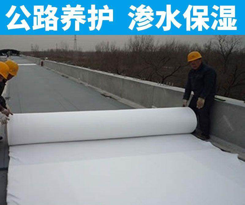 綠化家用水泥養護膜毛毯帆布建築林業速幹防潮防水建材地坪鋪毯在類目 鮮花速遞/花卉仿真/綠植園藝, 園藝用品, 其它園藝用品中 - 來自Buy2taobao.com提供專業的淘寶代購服務