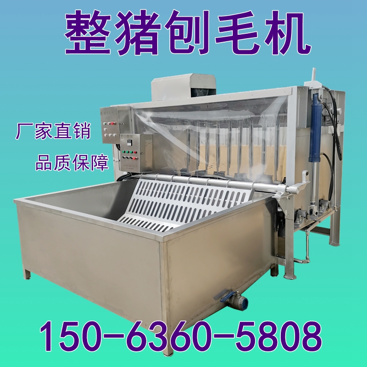 退毛机全自动生猪拔毛机猪刨毛设备大型杀猪脱毛机器整猪脱毛机