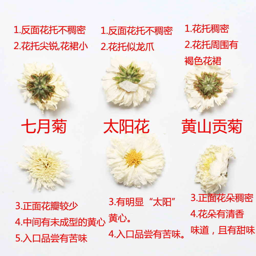 菊花种类名字配图图片