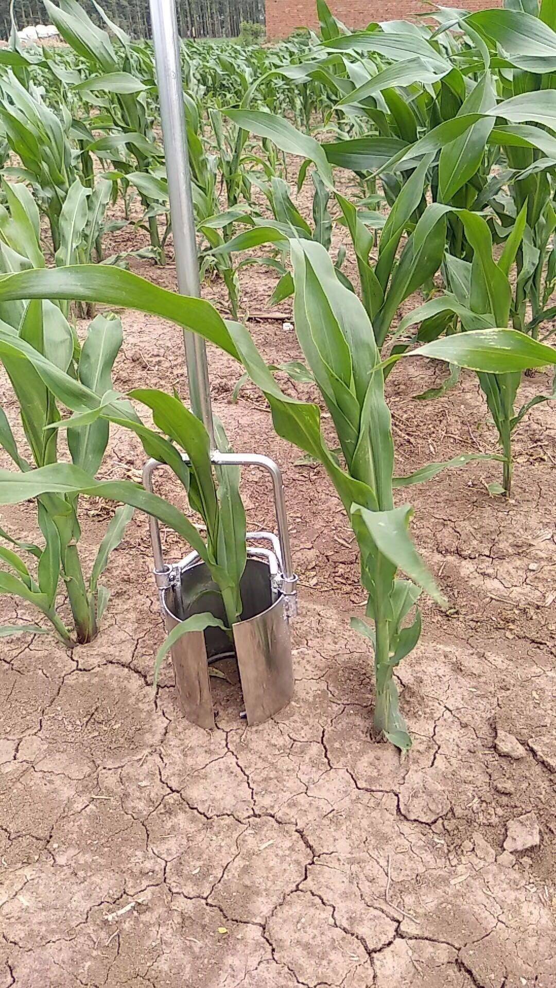 工具移苗移栽器移玉米农用秧苗起苗机挖苗打孔智能园艺用品