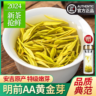 2024新茶黄金芽茶叶特级安吉奶白茶明前绿茶春茶散装礼盒装500g