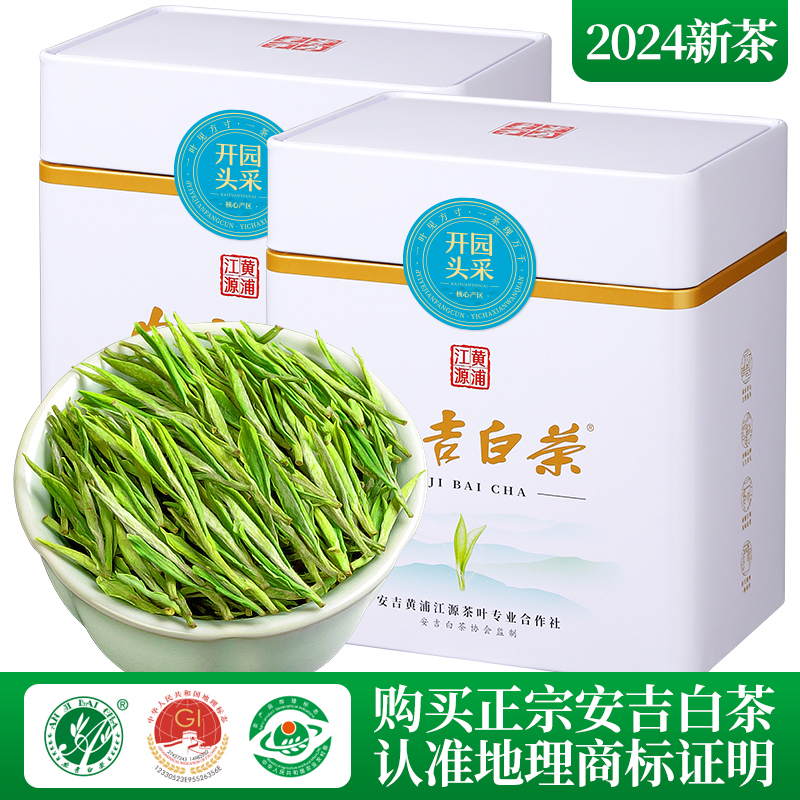 安吉白茶2024年新茶特级开园头采