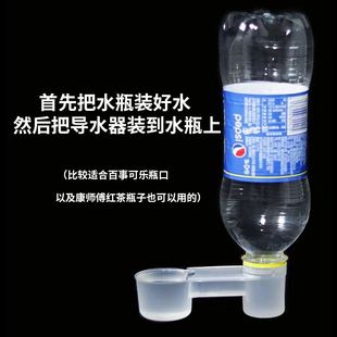 鸽子用品用具水壶双口导水器信鸽用品鸟用鹦鹉自动饮水器喂水鸽具