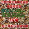 文鸟粮雪鸽粮芙蓉鸟粮金丝雀食珍珠鸟食混合粮鸟食鸟粮鸟饲料包邮 文鸟粮雪鸽粮芙蓉鸟粮金丝雀食珍珠鸟食混合粮鸟食鸟粮鸟饲料包邮