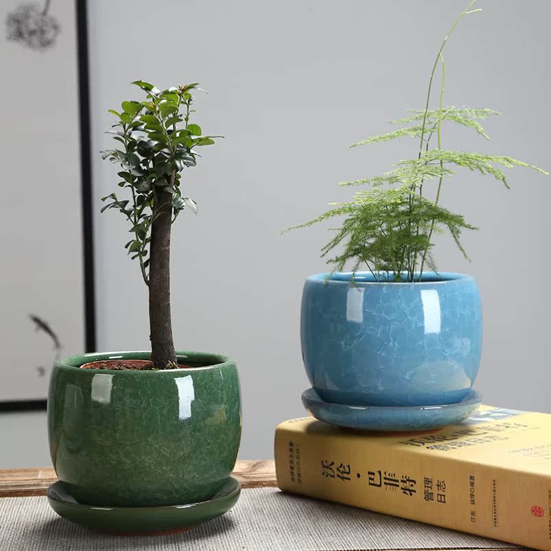 好看的网红创意花盆特色2021新款