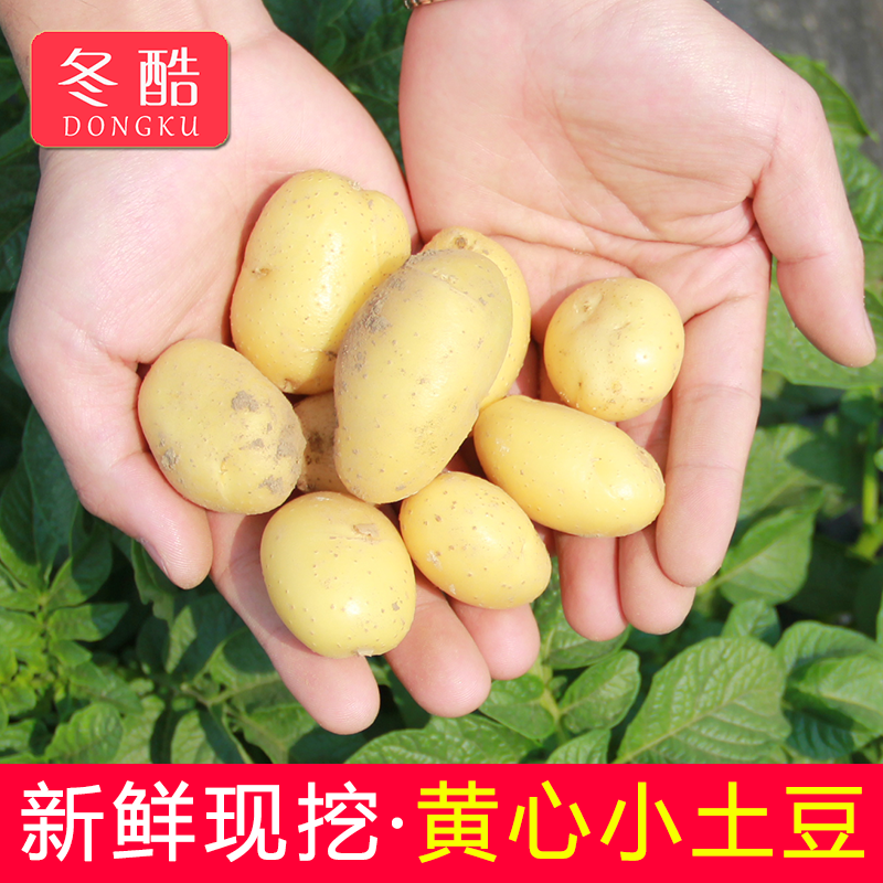 5斤小土豆新鲜现挖黄心土豆农家自种迷你小土豆蔬菜马铃薯洋芋10在类目 水产肉类/新鲜蔬果/熟食, 新鲜蔬菜/蔬菜制品, 新鲜蔬菜, 土豆中 - 来自Buy2taobao.com提供专业的淘宝代购服务