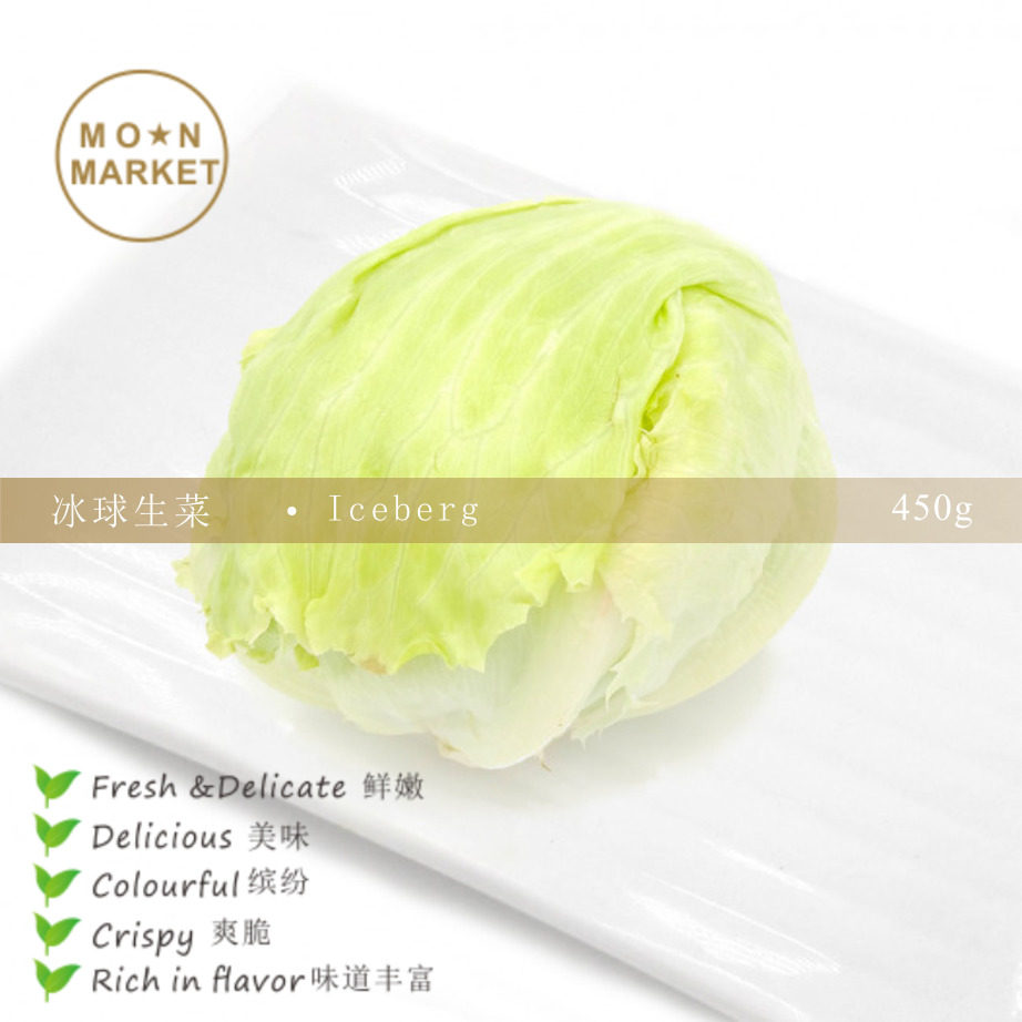 【魔月】球生菜 iceberg 400g~550g新鲜蔬菜西圆生菜汉堡包色拉菜