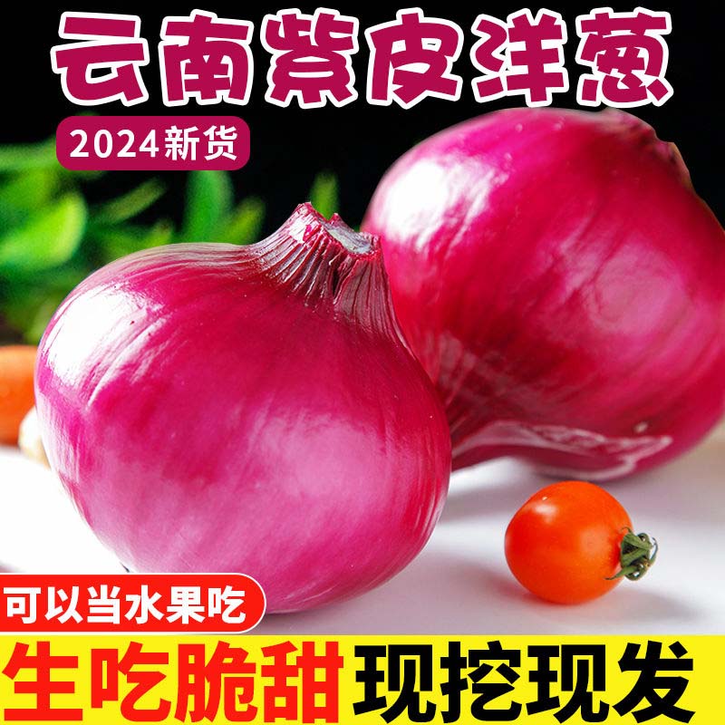 云南水果洋葱10斤新鲜紫皮圆葱蔬菜