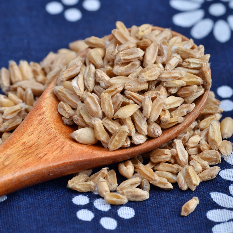 愚草优良浮小麦止汗500g包生浮小麦河南产甘麦大枣汤原料