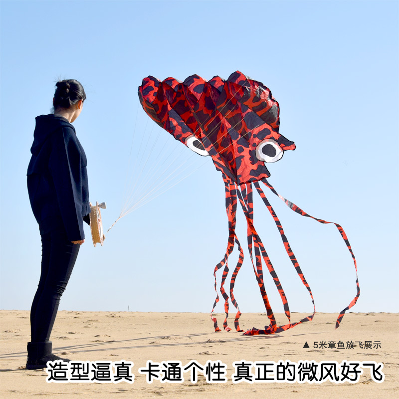高檔成人大型微風好飛濰坊風筝新款軟體章魚兒童初學易飛立體卡在類目 運動/瑜伽/健身/球迷用品, 毽子/空竹/民間運動, 風箏, 風箏中 - 來自Buy2taobao.com提供專業的淘寶代購服務