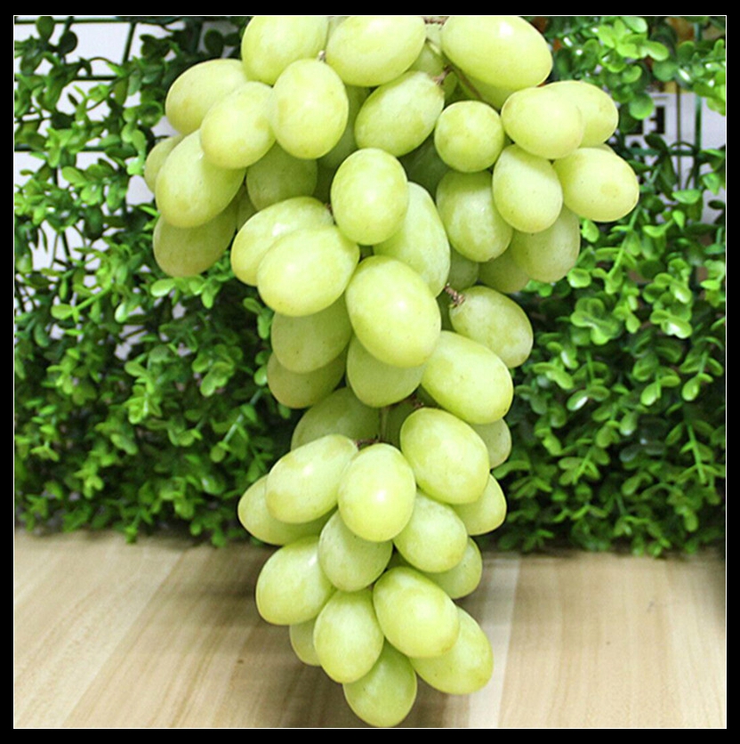 新疆马奶提子新鲜小奶油青提子 新鲜水果带箱5斤