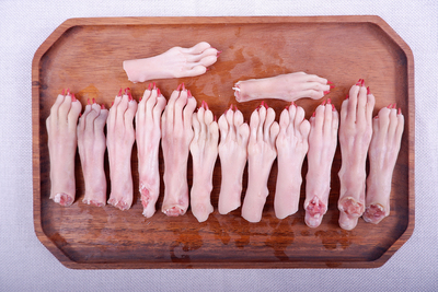 毛兔_毛兔优惠券信息,批发价格,市场报价,厂家供应_讯肯优惠券网