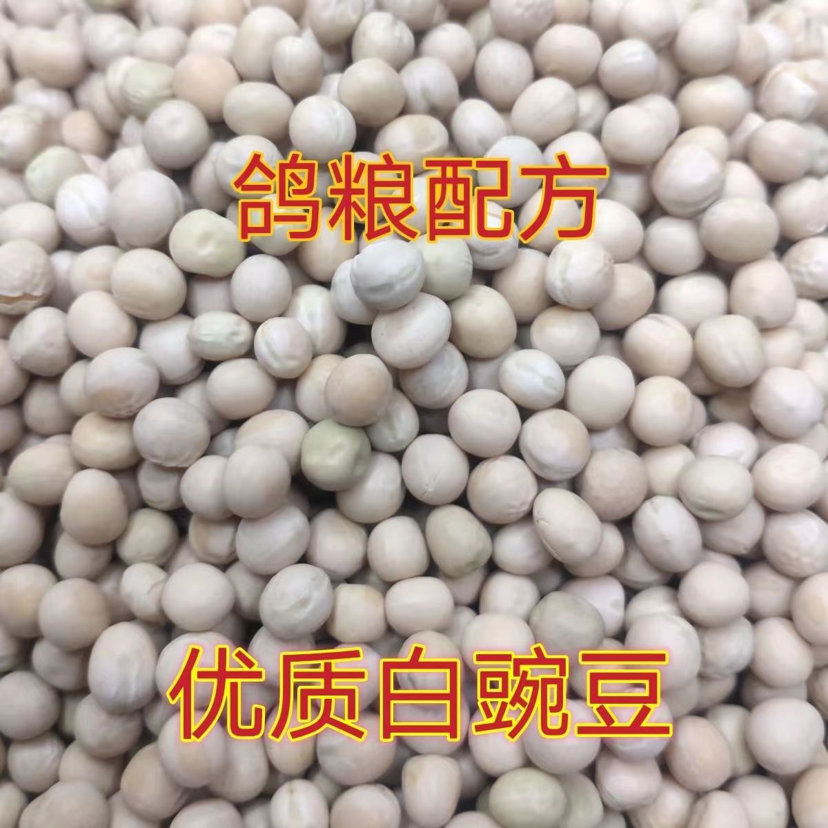 2022年豌豆白豌豆生豌豆酿酒豌豆