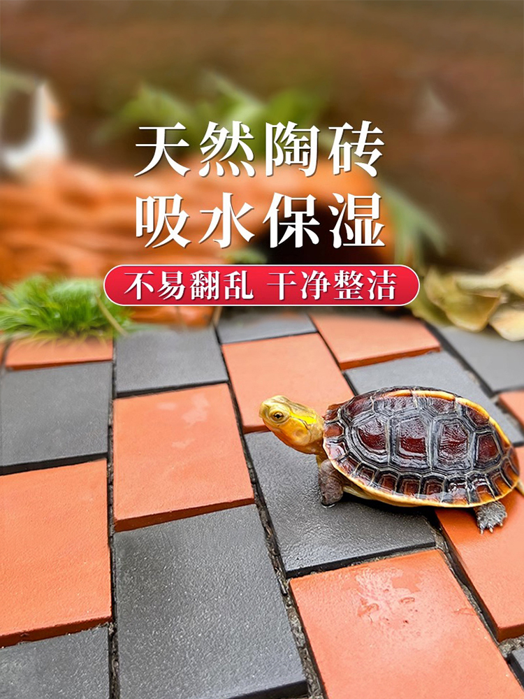 水龟缸垫造景装饰龟箱砖保湿砖黄黄缘龟小材半缘造景乌龟专用