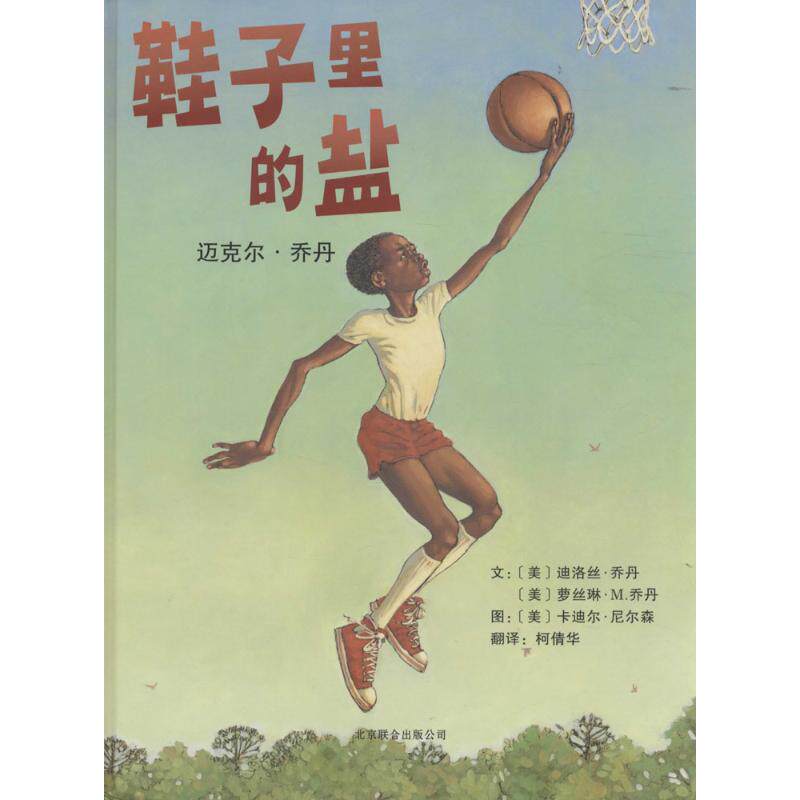 鞋子里的盐:迈尔·乔丹 迪洛丝·乔丹 京华出版社 正版直发