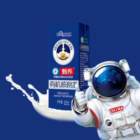 甄养有机核桃乳250ml*10盒 有机核桃成人儿童饮品