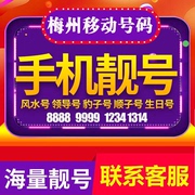 Guangdong Meizhou mobile number card mobile phone number king card daily rental phone card traffic card 1 yuan 1G traffic