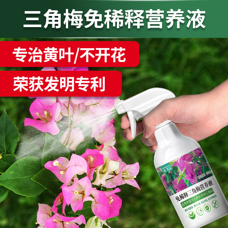 三角梅开花专用肥三角梅专用营养液免