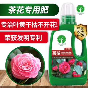 茶花肥料专用肥专用营养液茶花盆栽专用土营养土改善茶花卷叶干枯