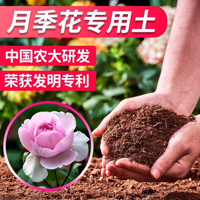 月季花专用土月季花专用营养土月季花