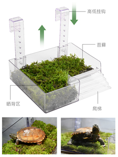 乌龟透明亚克力挂钩晒背台龟缸可调节壁挂式高水位浮台深水位爬台