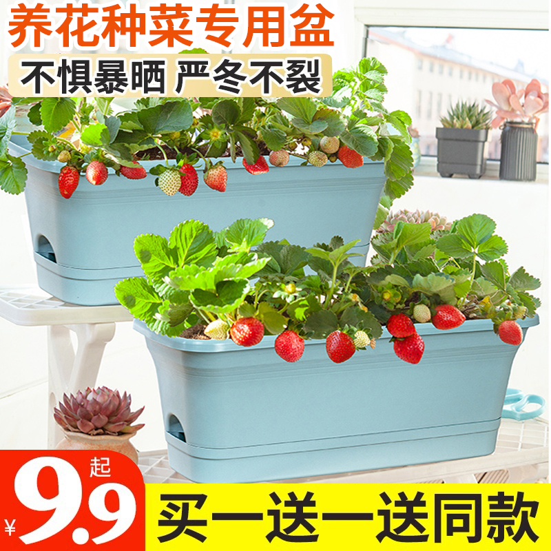 草莓种植长方形懒人花盆自动吸水盆种菜盆阳台专用塑料家用蔬菜盆