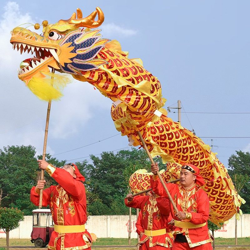 国标9节龙烫金龙龙头服装舞龙灯灯光龙钢丝龙绸布龙舞龙舞狮道具