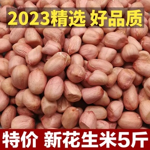 2023年新花生米河南新货大颗粒白沙农家新鲜大粒生花生仁5斤生的