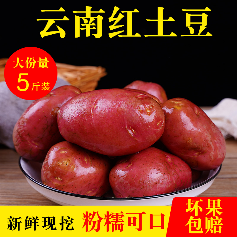 Yunnan Redskins Small potatoes fresh 10 Potato Produce Vegetables Potato wholesale Yellow Heart Redskins Potatoin the Aquatic meat/Fresh fruits and vegetables/Cooked , Fresh vegetables/Vegetable products , Fresh vegetables , Potato category - from Buy2taobao.com to provide professional Taobao agent buy service