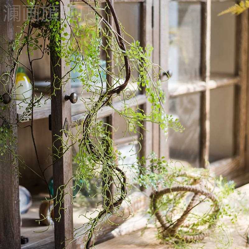 掬涵黑骨芒仿真花绿植缠绕藤蔓蕨类植物装饰造景仿真园艺装饰挂件