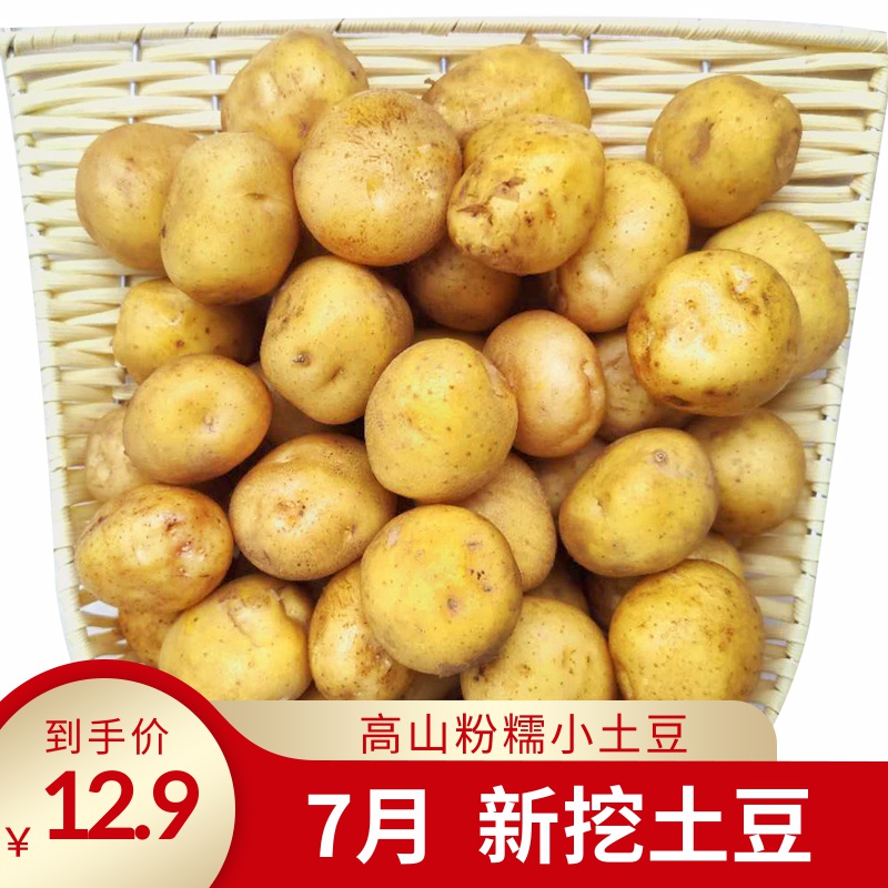宝贝【本蜜园新鲜高山粉糯迷你小土豆马铃薯粉土豆农家洋芋5斤蔬菜