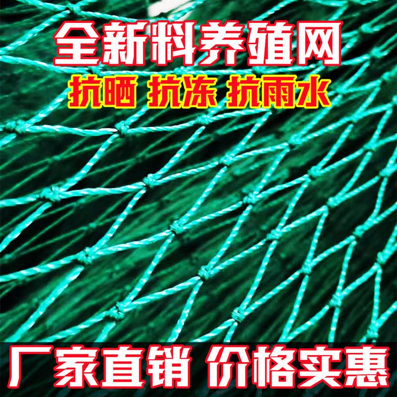 塑料养殖网养鸡网围栏网护栏网山鸡网防鸟网防护网渔网尼龙网米高