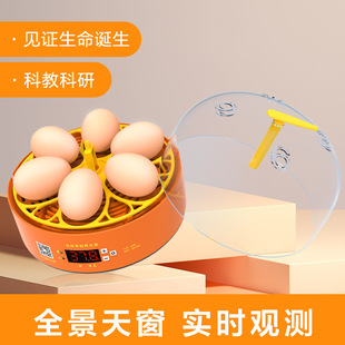 新款实验孵蛋器小鸡孵化器小型家用全自动鸡蛋孵化箱儿童智能孵品