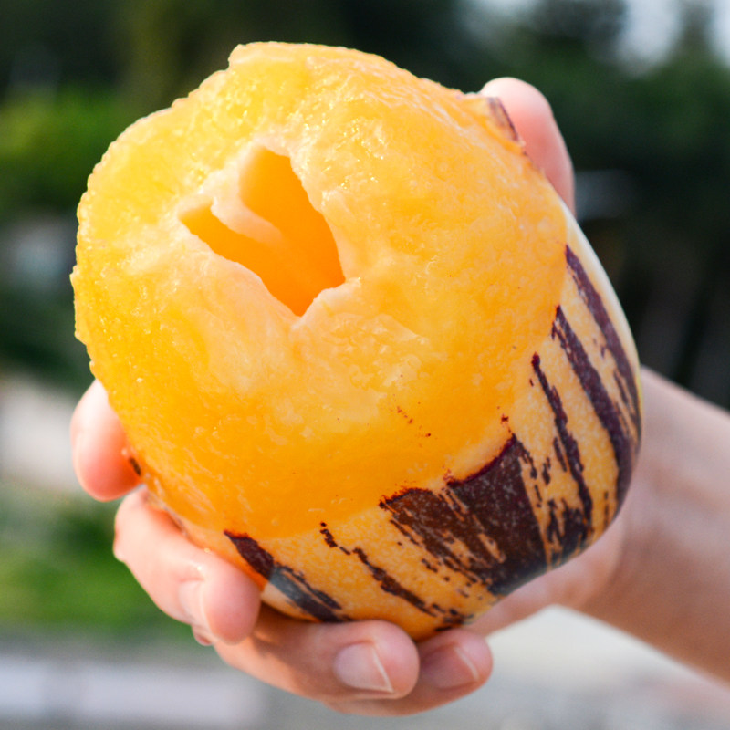 树上熟特大果10斤民勤新鲜黄人参果