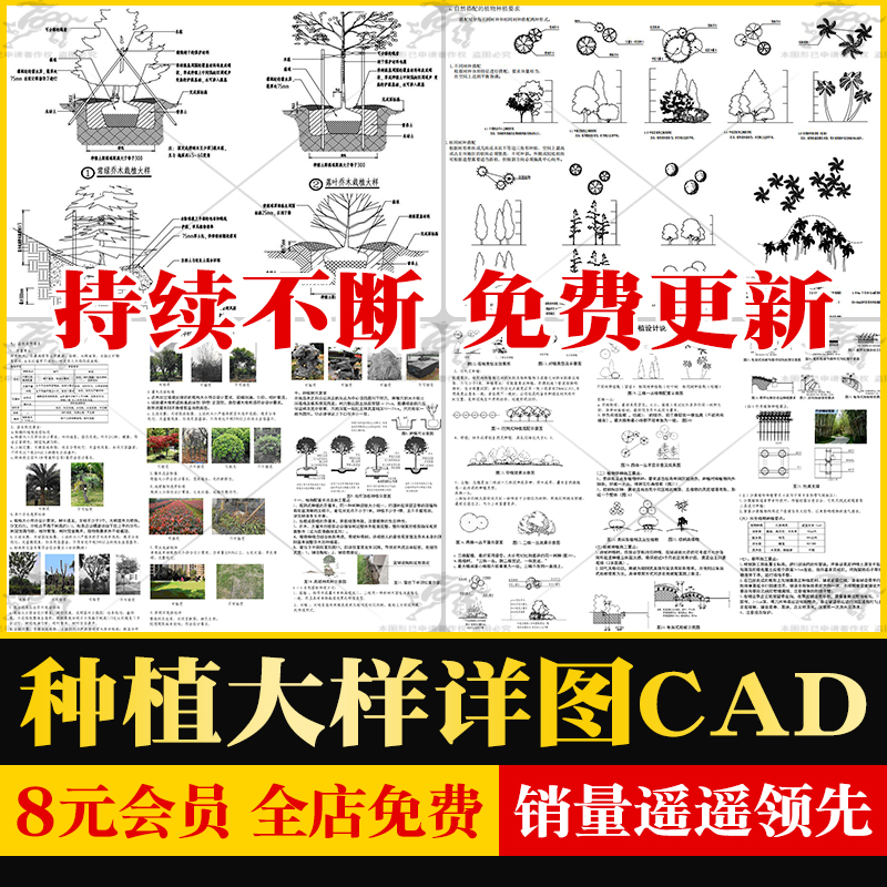 公园园林景观绿化植物种植施工大样图