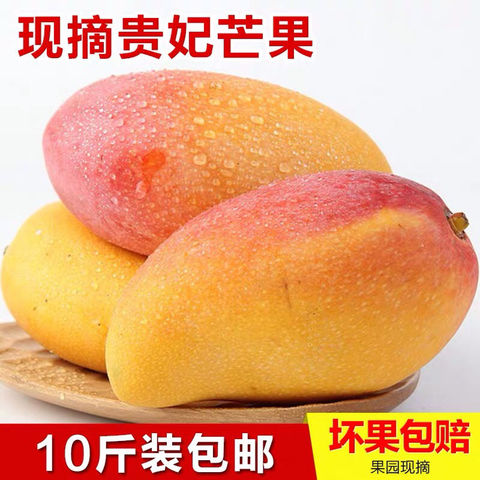 海南贵妃芒10斤装芒果新鲜中果红金龙三亚热带水果树上熟贵妃包邮