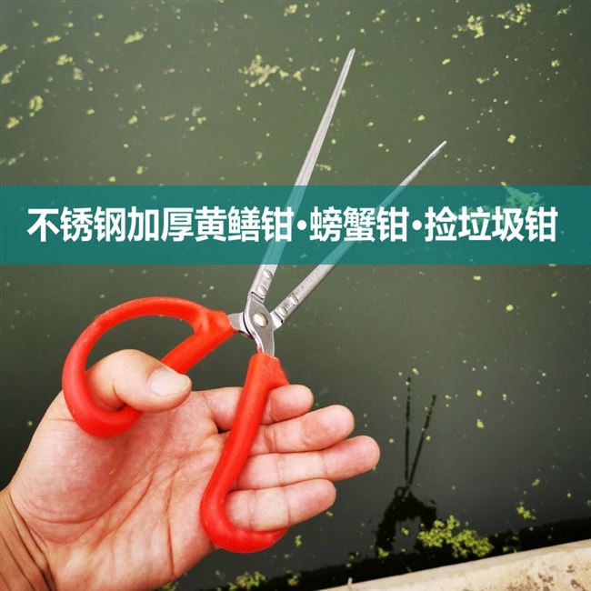 不锈钢黄鳝夹子鳝鱼钳捉螃蟹夹防滑钳子赶海神器抓螃蟹专用工具