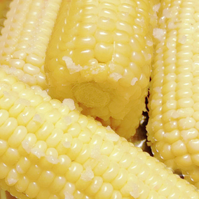 甘肃民勤干玉米粒19年新苞米粒杂粮鸡鸭鸽子宠物打窝9斤装包邮