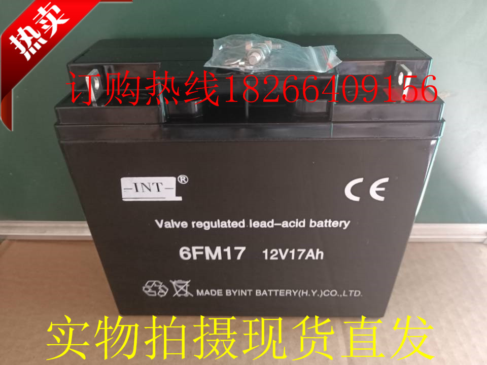 进口 INT蓄电池 6FM17 直流屏12V17AH 消防主机应急电梯门禁 电瓶