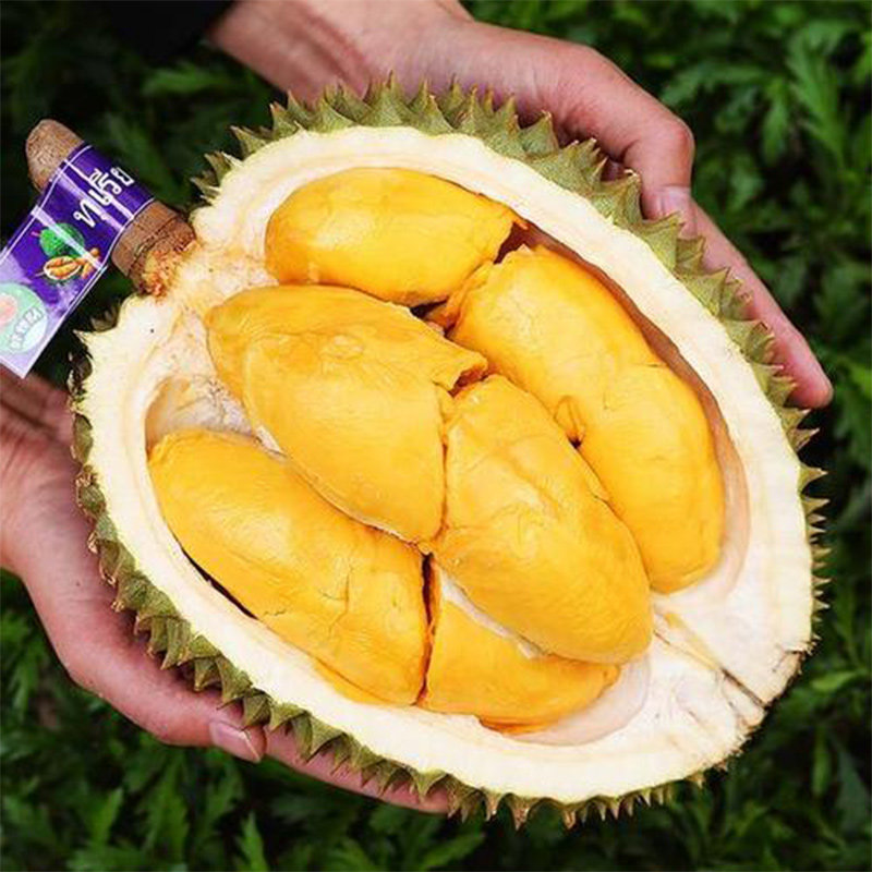 马来西亚进口猫山王榴莲d197液氮冷冻现摘榴莲带壳新鲜顺丰包邮10