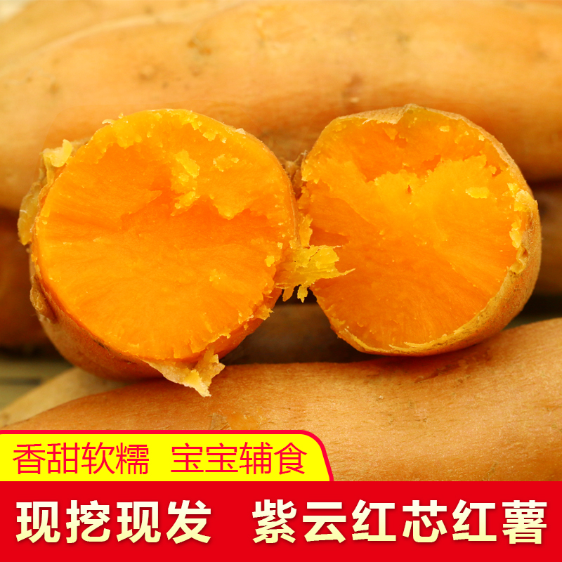 贵州紫云红心红薯正宗蜜薯糖心红薯现挖新鲜红薯农家自种沙地蜜薯