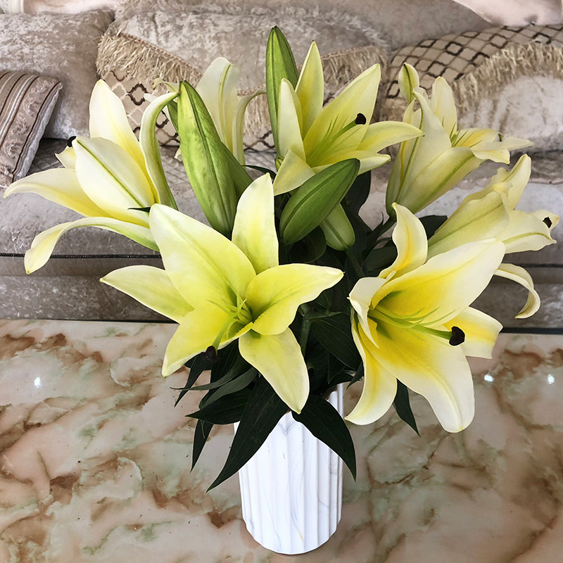 8鲜百合花真花家用黄天霸百合鲜花家庭黄水养新鲜室内插花直批花束已
