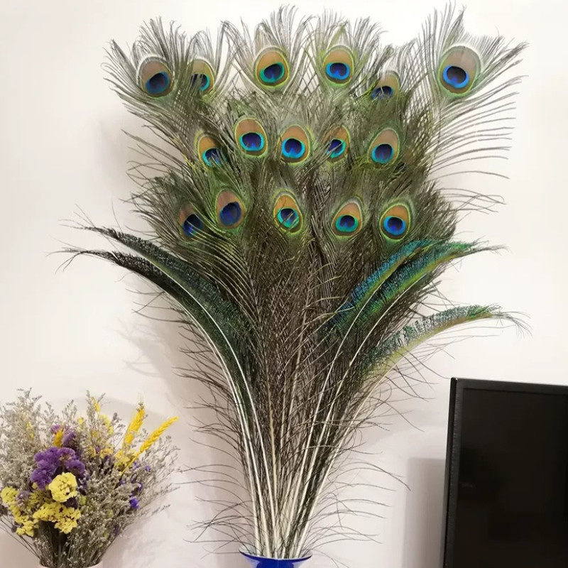 孔雀孔雀羽羽毛摆件客厅装饰大眼睛翎尾居家花瓶摆件