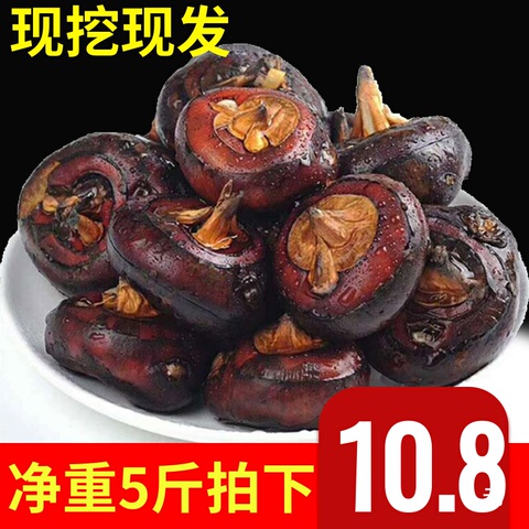 安徽荸荠马蹄新鲜净重5斤包邮农家自种地栗现挖批发中小红马蹄果