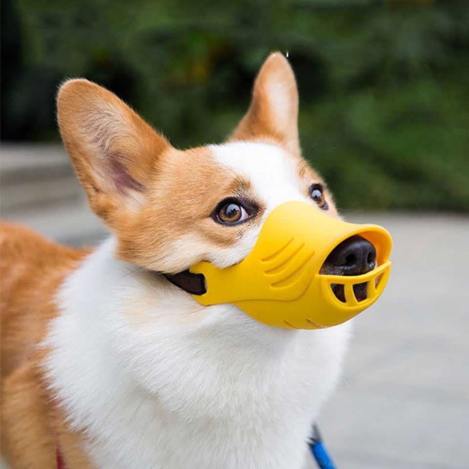 狗狗嘴套柯基小中型犬防舔防咬叫防乱吃狗口罩嘴罩宠物止吠器用品