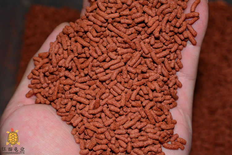 发色饲料龟粮红面火焰东锦小青斑纹白唇果核龟