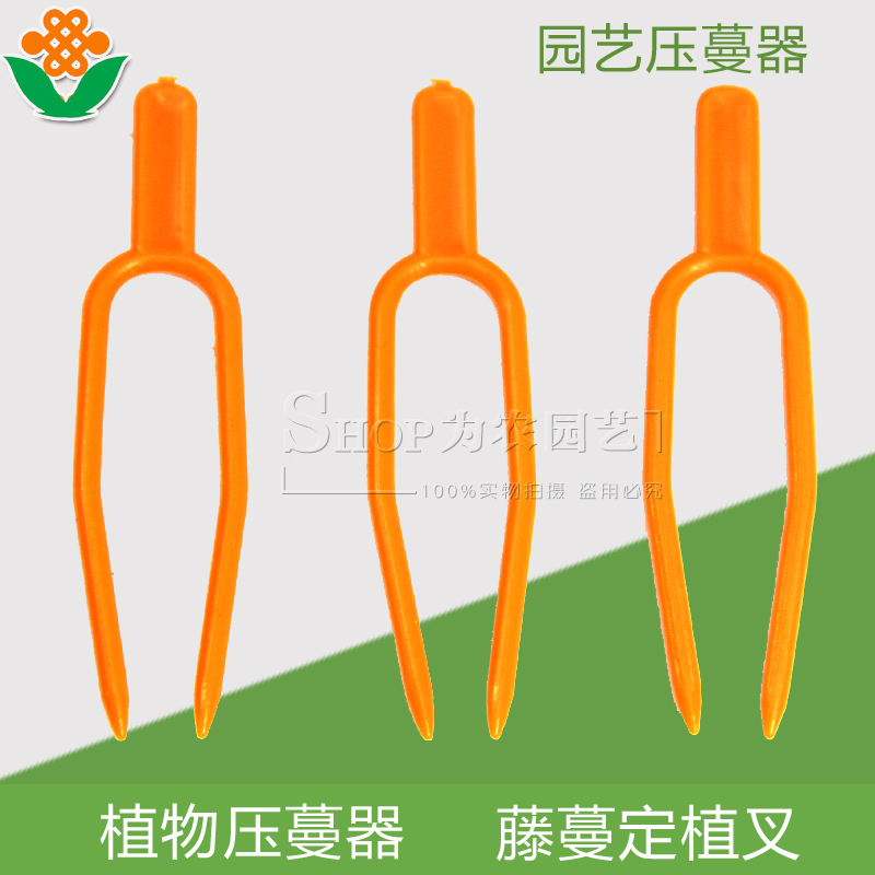 .gardening Supplies Best Sellers 100 Stolon Fixing clip strawberry Colonization Colonizationin the Flower delivery/Flowers simulation/Plants gardening , Gardening supplies , Other Garden Supplies category - from Buy2taobao.com to provide professional Taobao agent buy service