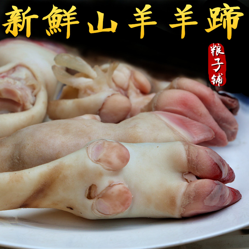 山羊羊蹄生羊蹄新鲜羊蹄现杀新鲜山羊肉山羊蹄500g