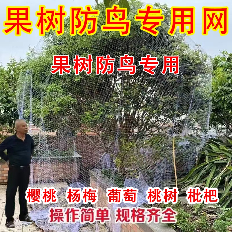 新款果树防鸟网罩嘉宝果枇杷樱桃蓝莓果园尼龙防护网菜地防鸟网